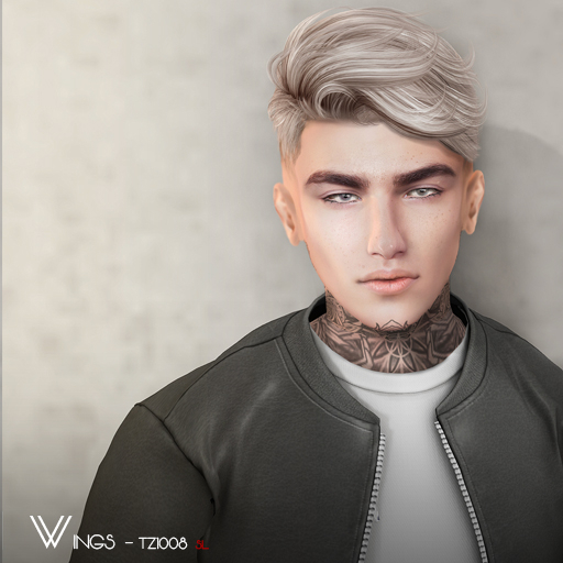 Second Life Marketplace WINGSHAIRTZ1008 Variety (Pack)